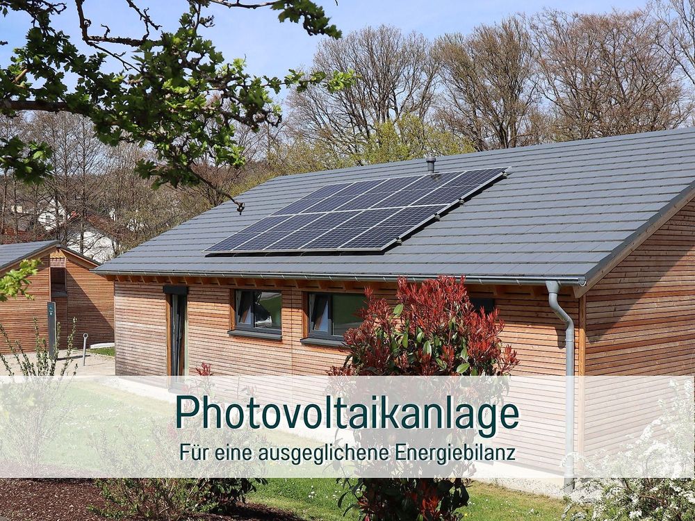 Traumweiler jeicew