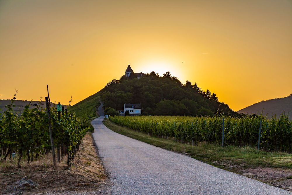 "Marienburg" Rundwanderweg im Zeller Land izjgi1