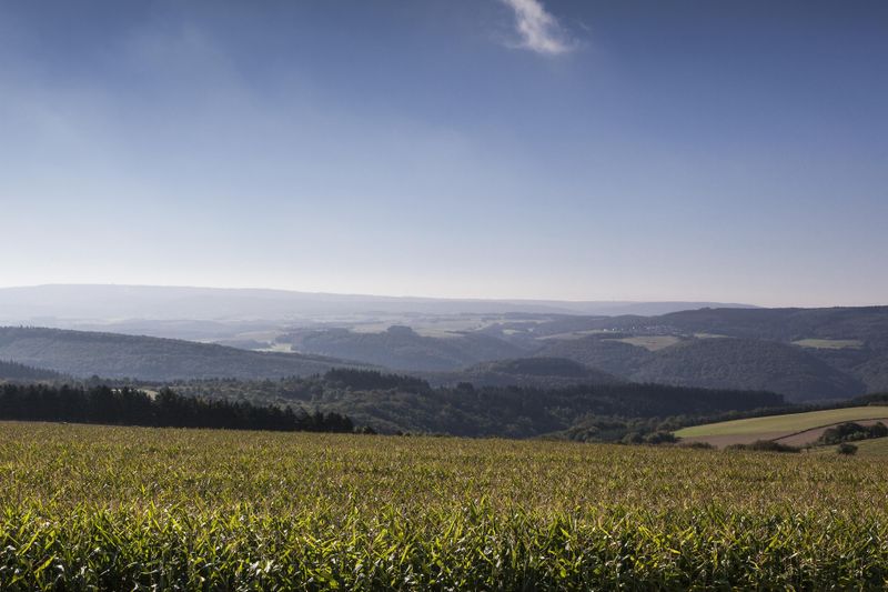 Naturpark Saar Hunsrück ixps7q