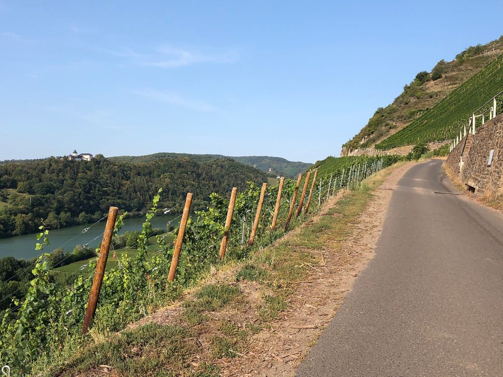 "Pissamann" Weinlehrpfad Zell Merl ixgxnf