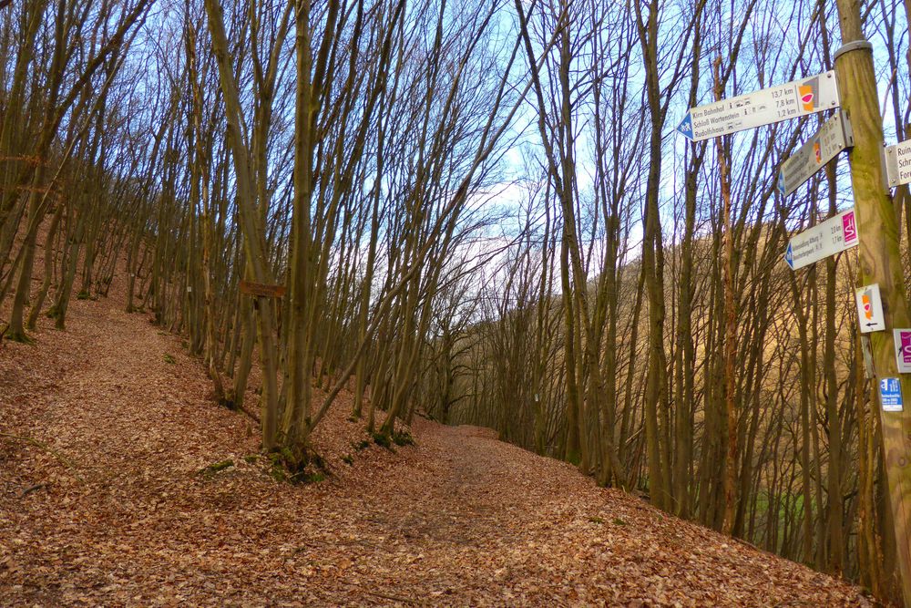Soonwaldsteig   Zuweg Bruschied 1 iwkasy