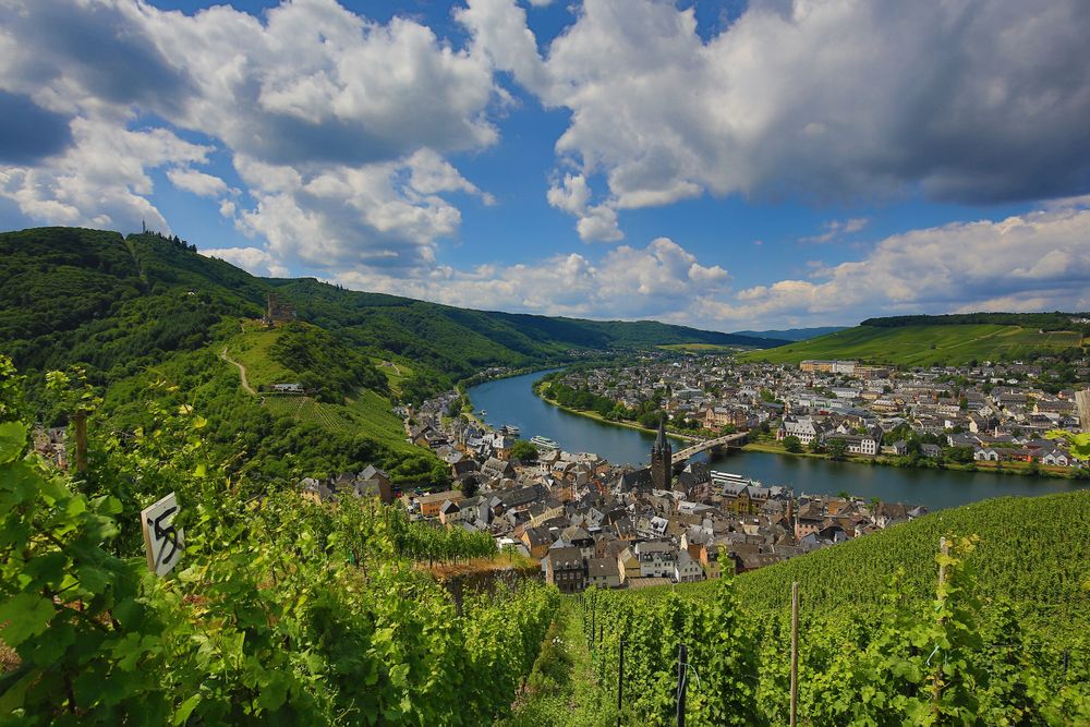 Mosel Radweg Zell (Mosel)   Bernkastel Kues ivv3g0