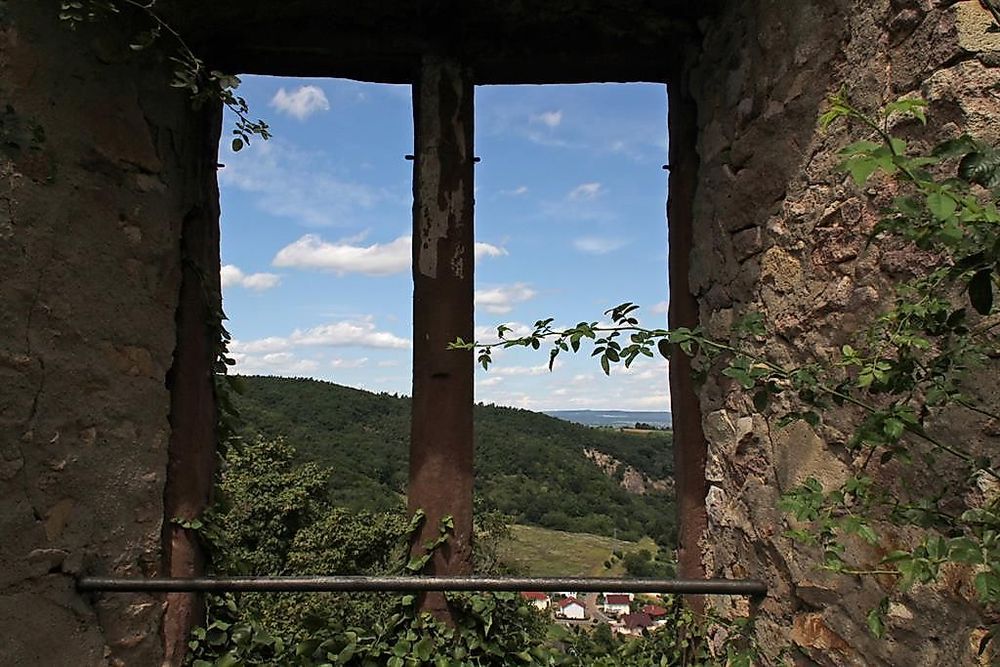 Vital Tour Rheingrafenstein   Wald, Weite, Natur pur k8ktk3