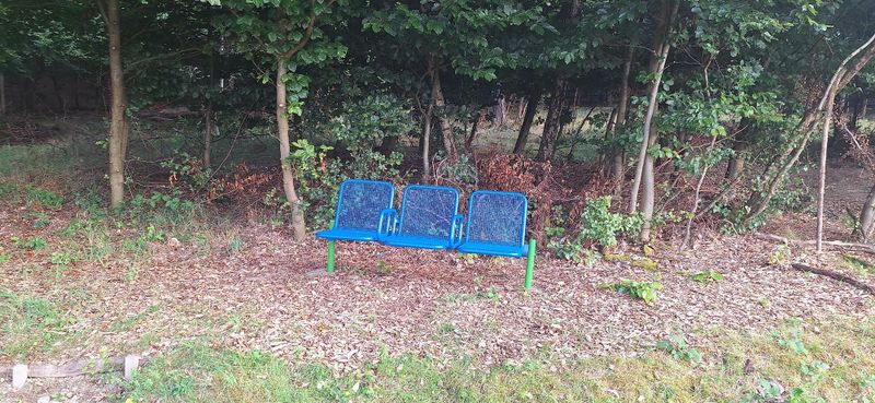 Ginsterberg in Birkheim k91xgt