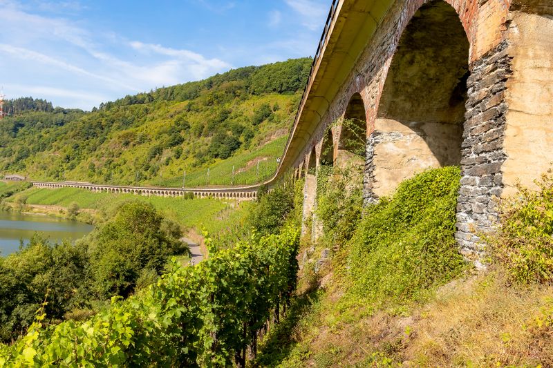 tochten/kanonenbahn-erlebniswanderung-im-zeller-land-31f5