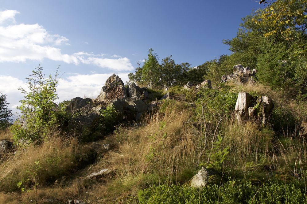 Nationalpark Traumschleife Trauntal Höhenweg k2hcin