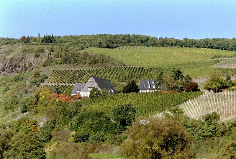 unterkuenfte/weingut-gaestehaus-gut-hermannsberg-6427