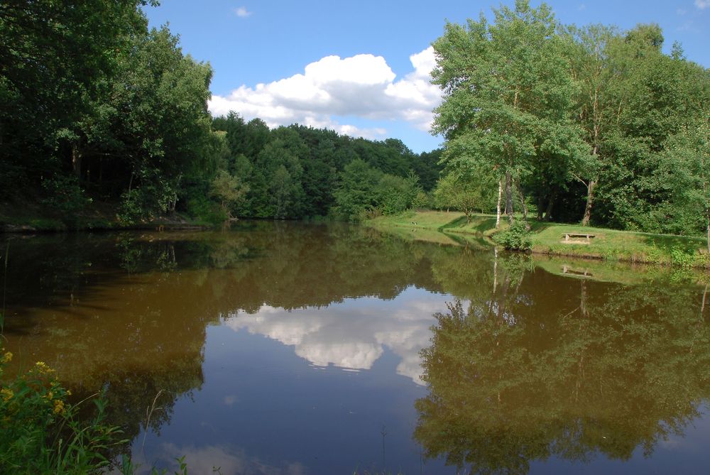 Traumschleife Soonwald ip6lv0