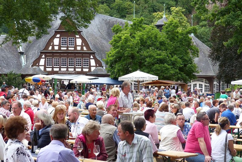 Wein im Park Bad Münster am Stein inbzt5