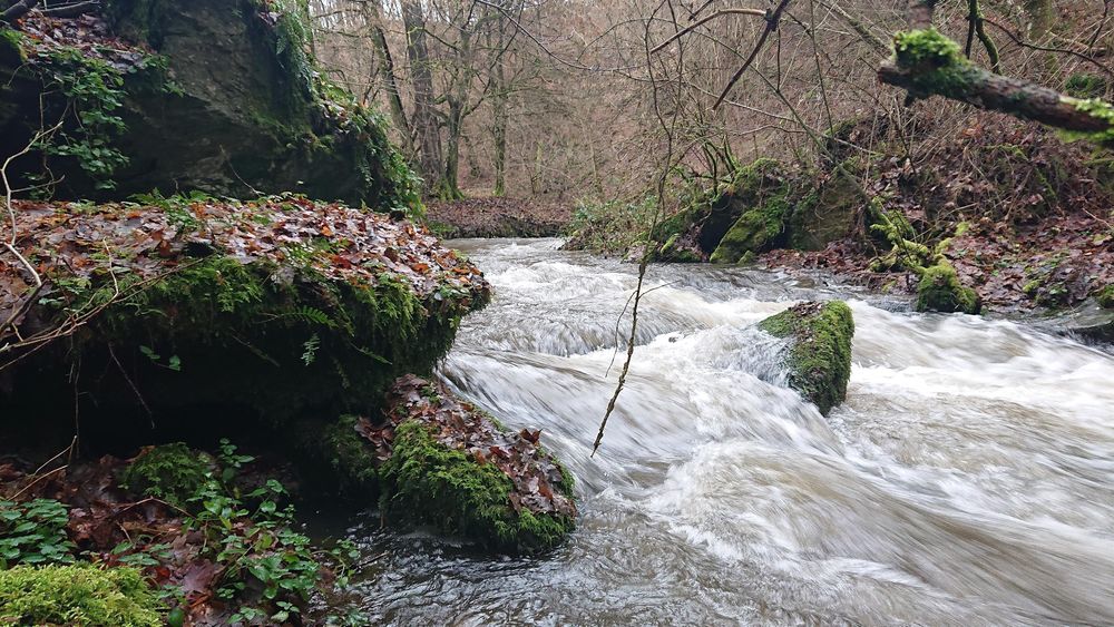 Steinrausch im Baybachtal k11llp