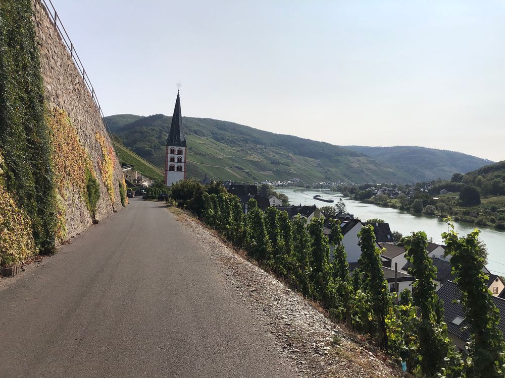 "Pissamann" Weinlehrpfad Zell Merl k06bpe