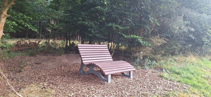 Ginsterberg in Birkheim ilp4to
