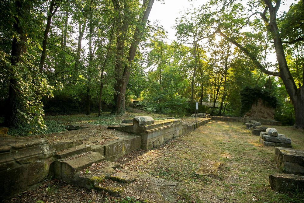 Klosterruine Disibodenberg im6x3x