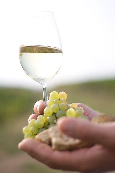 Ferienzimmer Weingut Barth Sommerloch ihrh0o