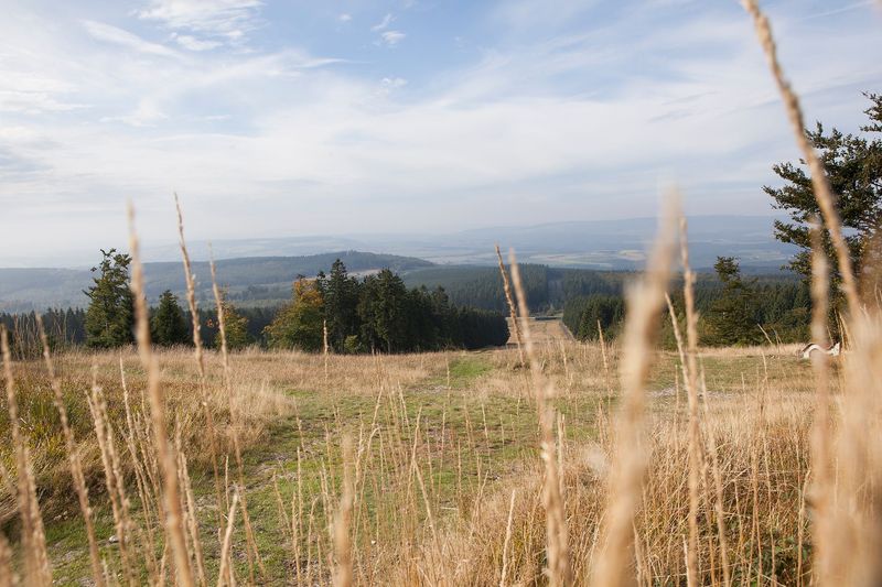 tochten/thalfanger-fiets-activ-route-4cc1