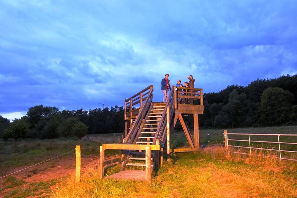 TRAUMSCHLEIFE Greimerather Höhenweg ieg8eb