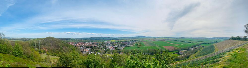 Roxheimer "Roxl" Weg Wein Erlebnispfad icng6t