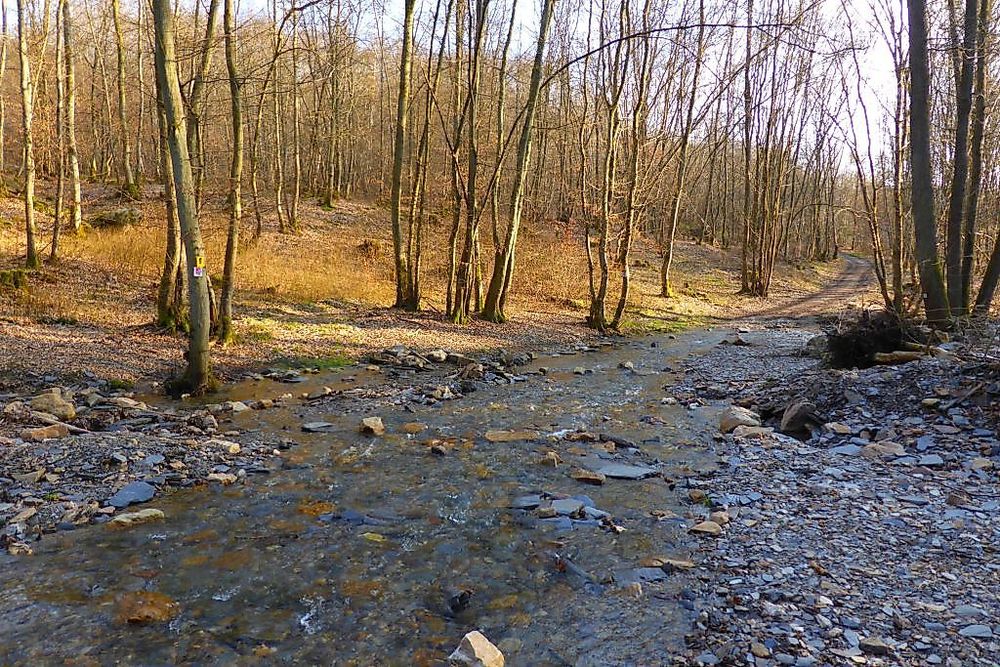 Soonwaldsteig   Zuweg Woppenroth iav8vt