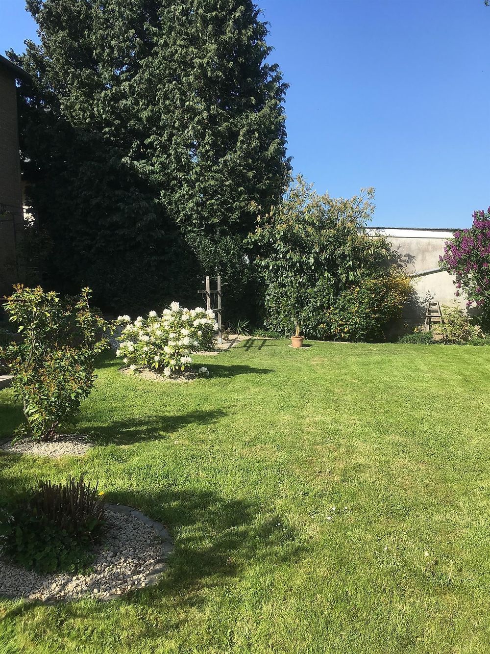Ferienwohnung Mehlig ib86s4