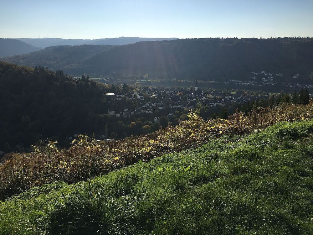 Briedeler Bummkopf Mountainbike Tour über Enkirch ia1cfv