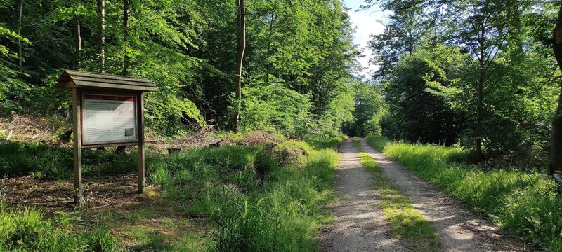 tochten/natuur-ervaringspad-xschinderhannes-7c6a