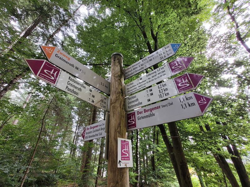 Saar Hunsrück Steig   04