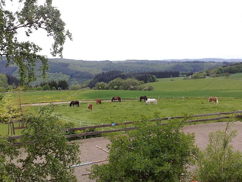Ferienwohnung Rootshof hxemv3