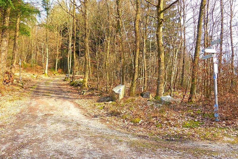 Soonwaldsteig   Zuweg Gehlweiler hy3g8c