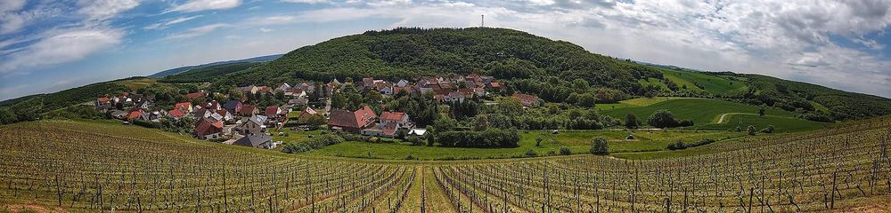 Weingut und Ferienappartement Erbacher Hof hvwrcg