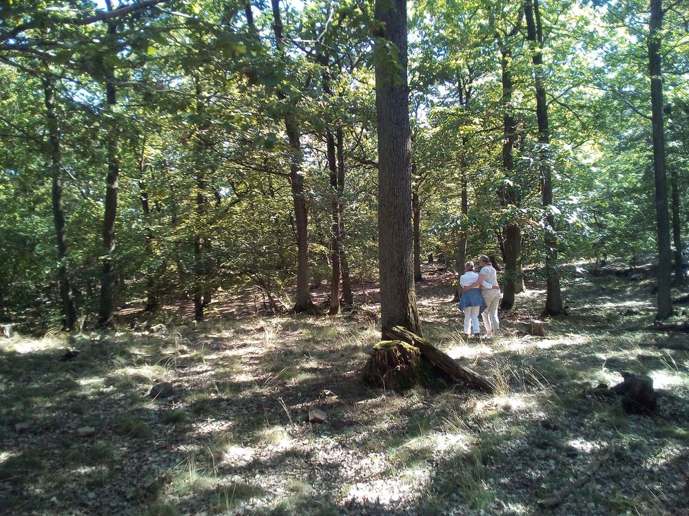 Bäderhöhenweg   Permanenter IVV Wanderweg 5 Km hungil