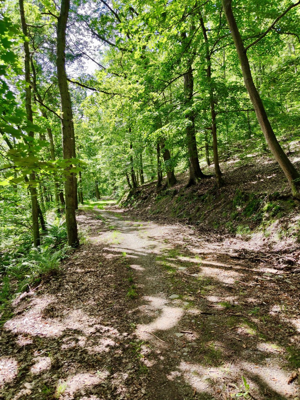 Rundwanderweg „Liebesschlucht“, Zell (Mosel) hu6ier