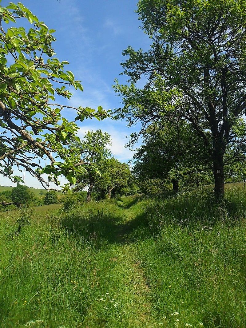 Traumschleife Oppig Grät Weg hsiyck