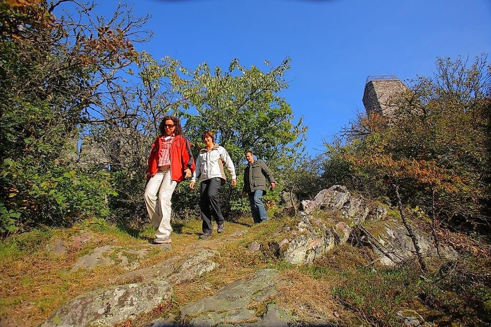 Soonwaldsteig   Etappe 3: Simmerbachtal Ellerspring j5i1ta