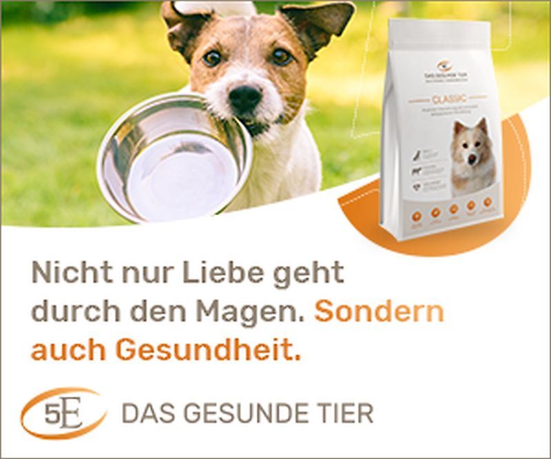 pois/das-gesunde-xtier-9dee