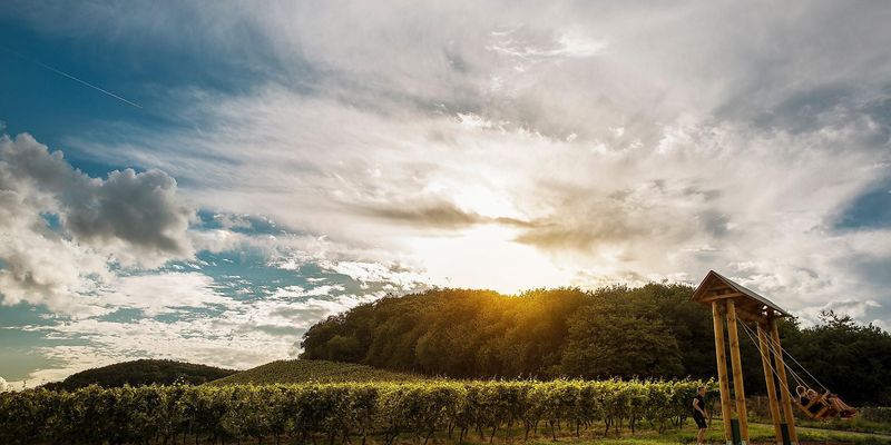 pois/schoenste-weinsicht-2016-in-xmeddersheim-0e79