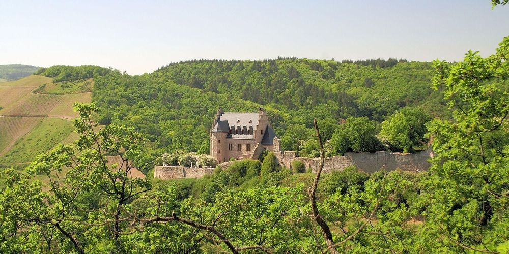 Vital Tour Rheingrafenstein   Wald, Weite, Natur pur j39mde