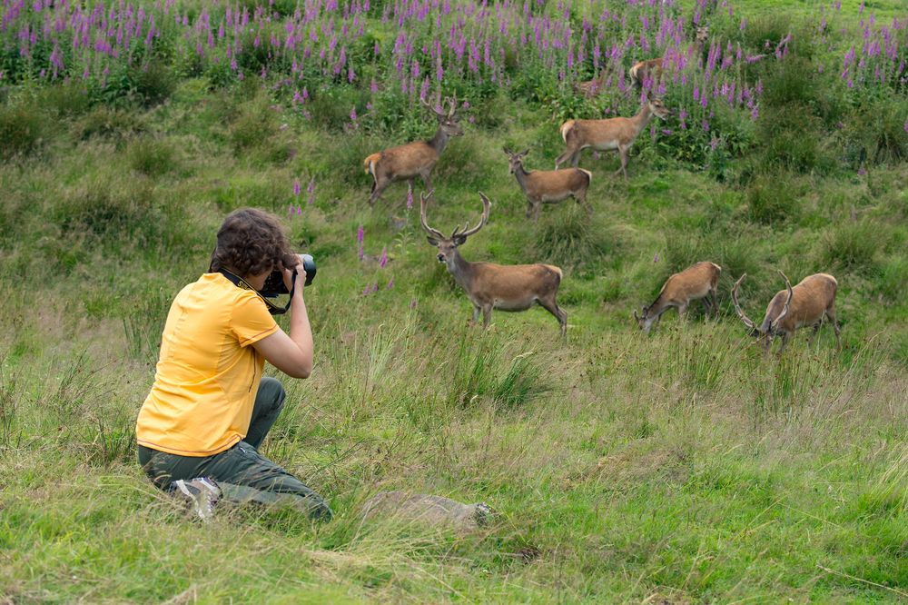 Nationalpark Traumschleife Börfinker Ochsentour j1mz7n