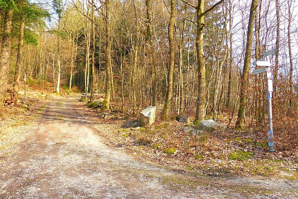 Soonwaldsteig   Zuweg Gehlweiler hokcv4