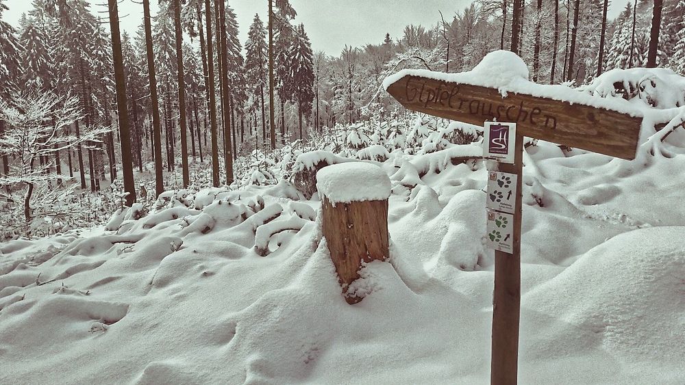 Nationalpark Traumschleife Gipfelrauschen ho36ve