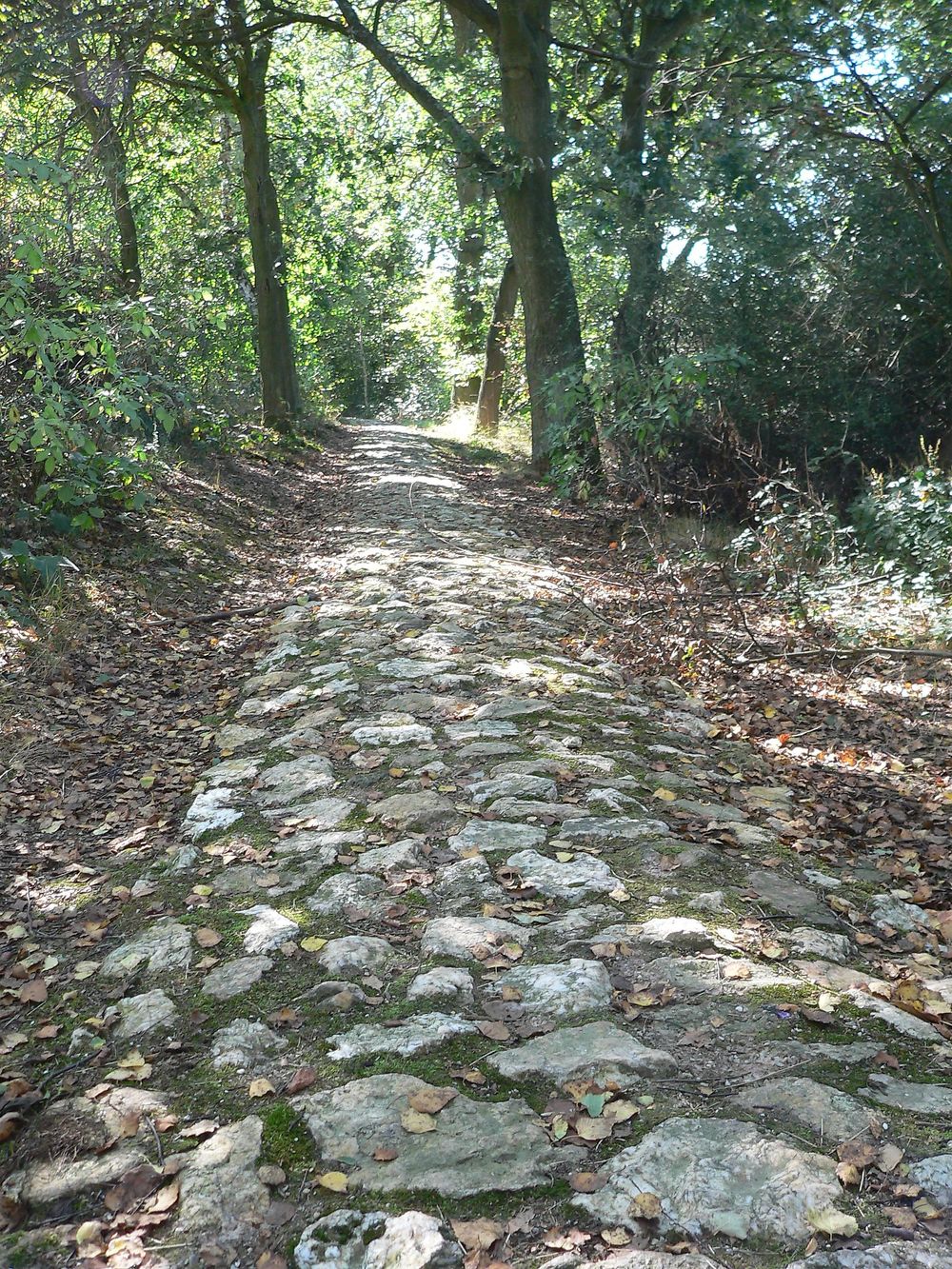 Ausoniusweg 03
