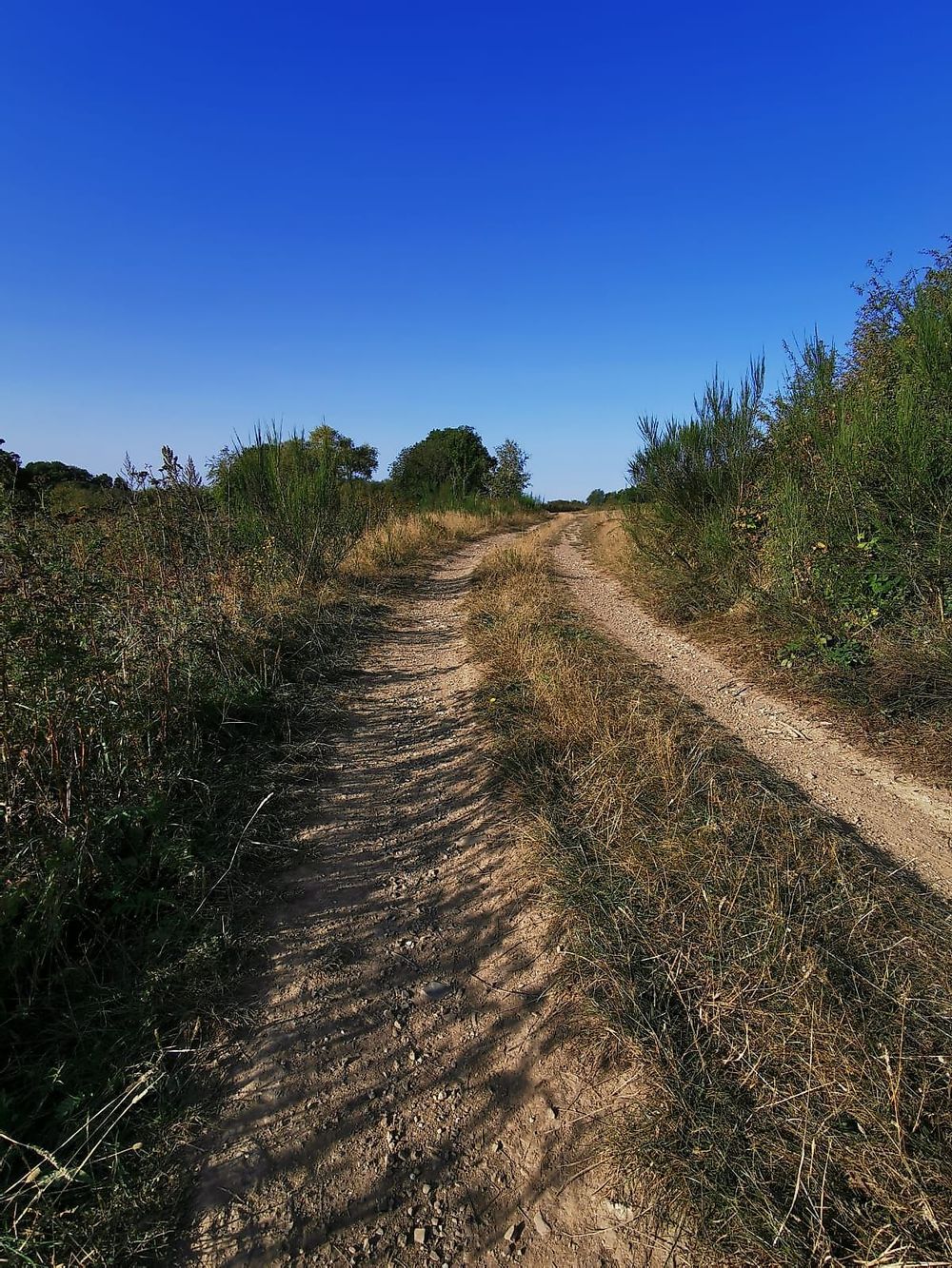 Pissamann Rundwanderweg Zell Merl hhqwnm