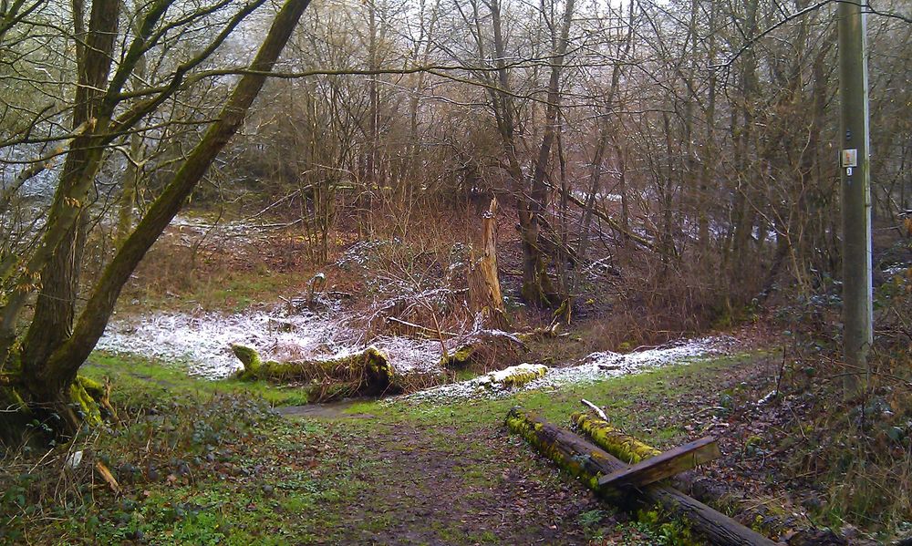 Soonwaldsteig   Zuweg Griebelschied hhkt5y