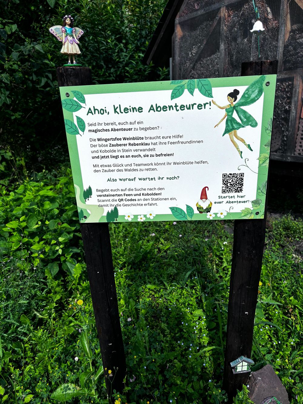 Familienwanderung in Sankt Aldegund: Die Suche nach den versteinerten Feen und Kobolden hi498a