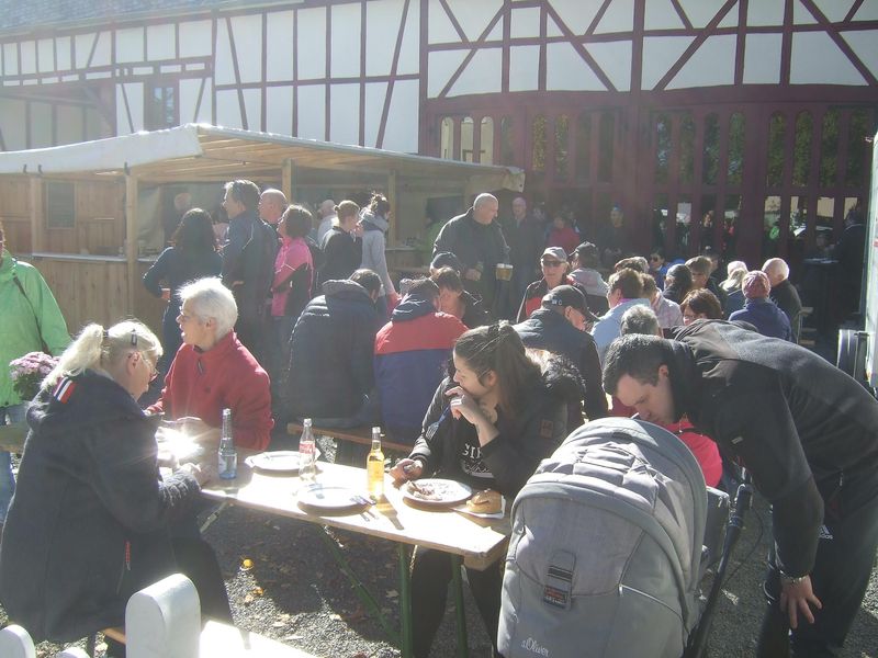 events/wanderung-xmit-goldener-oktober-im-hunsrueck-jugendwandertag-f2b9
