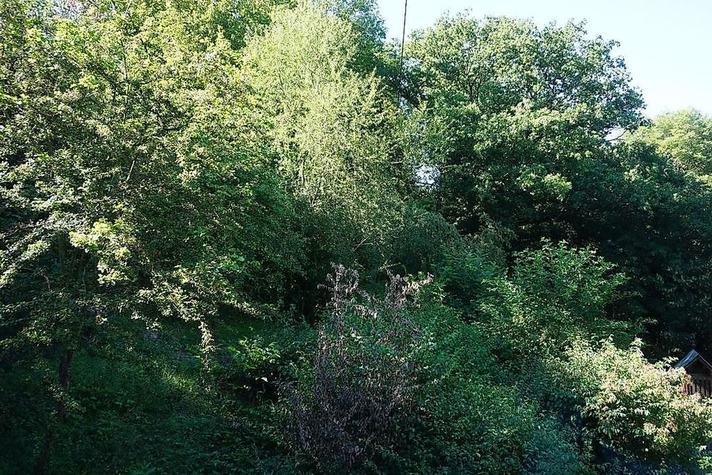 Ferienwohnung Grüne Oase hfl2ch
