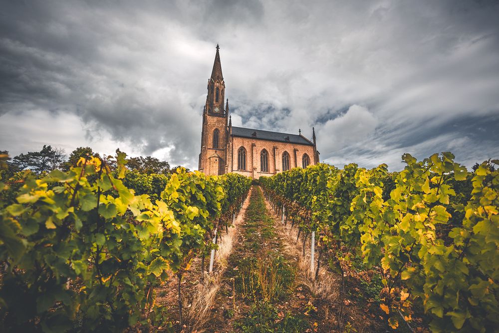 Weinwanderweg Waldböckelheim hf7fgs