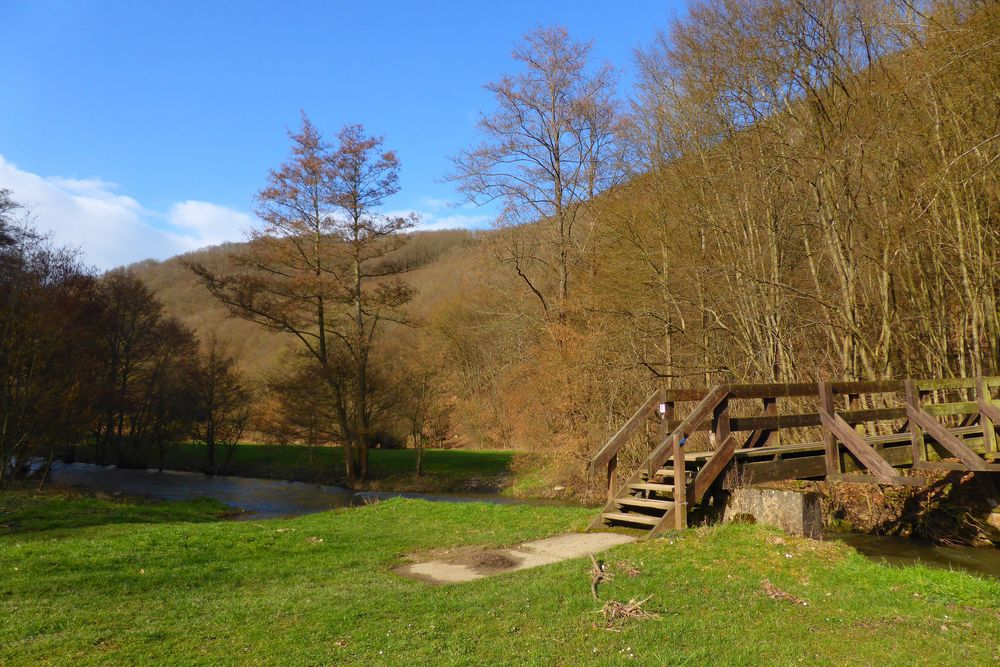 Soonwaldsteig   Zuweg Bruschied 1 hbu8sk