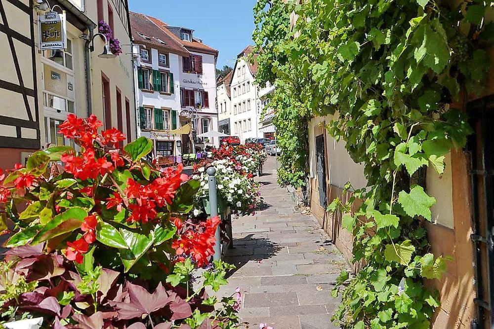 Saar Nahe Höhen Radweg hbel5d