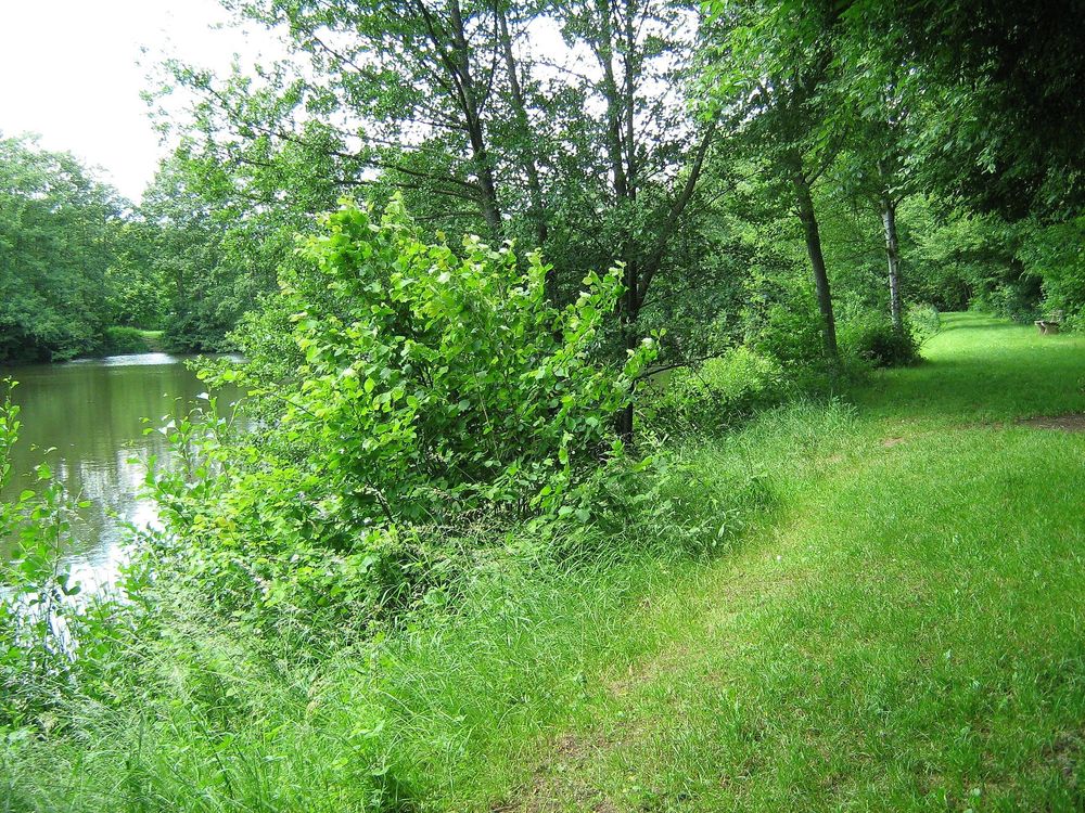 Winchendeller Weiher ha5g5s