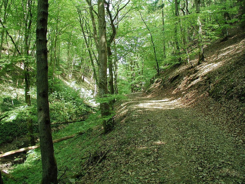 Schiefergrubenweg Lütz gzbqcp